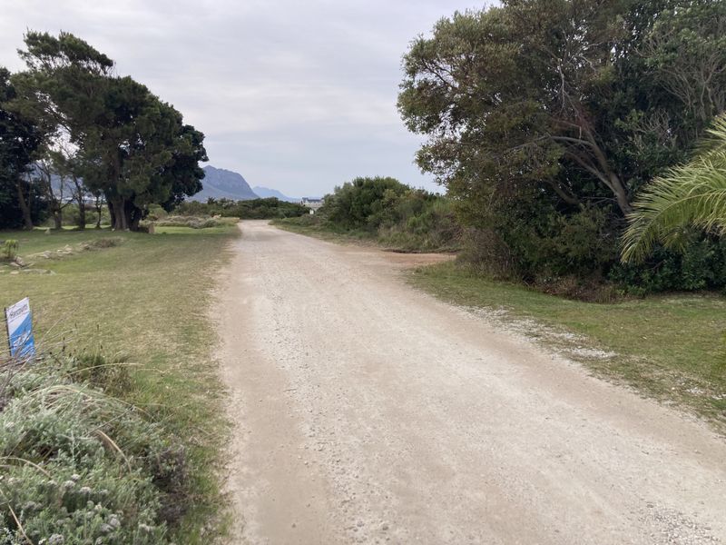 A view of an unpaved access road surrounded by mature trees and natural vegetation, typical of a vacant residential land plot.