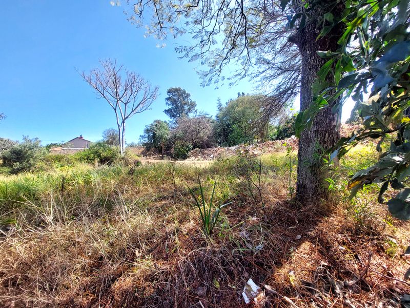 A view of an undeveloped residential plot featuring mature trees and overgrown grass with some visible debris on the land.