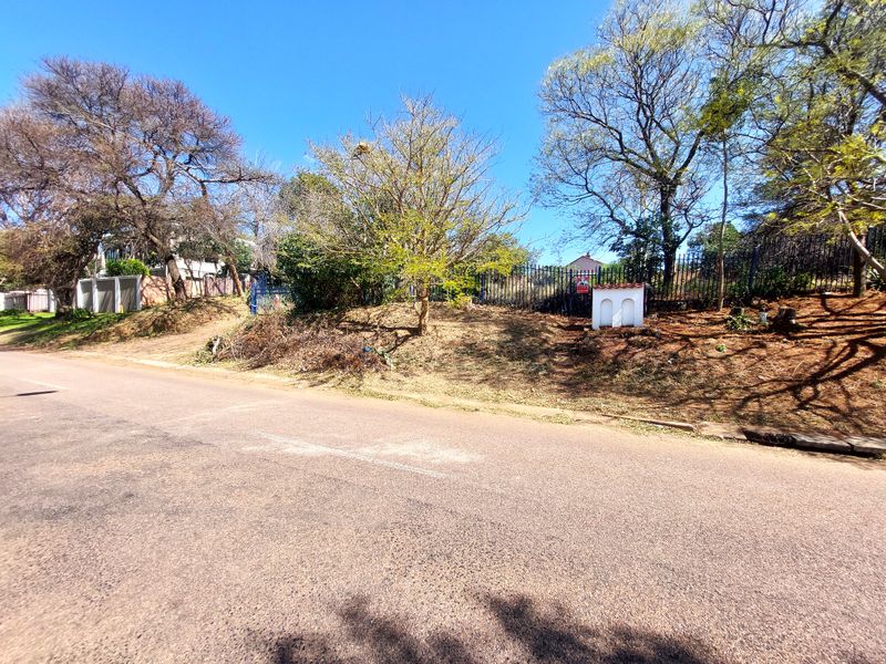 A street-level view of a vacant residential plot featuring mature trees, perimeter fencing, and direct access from an asphalt road.