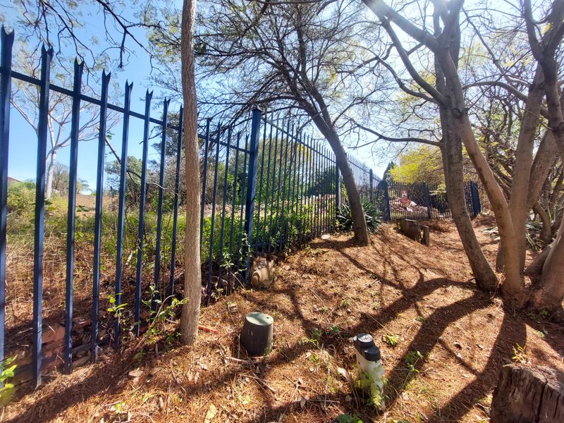 A view of the property boundary featuring steel palisade fencing and mature trees on a sloped residential plot.