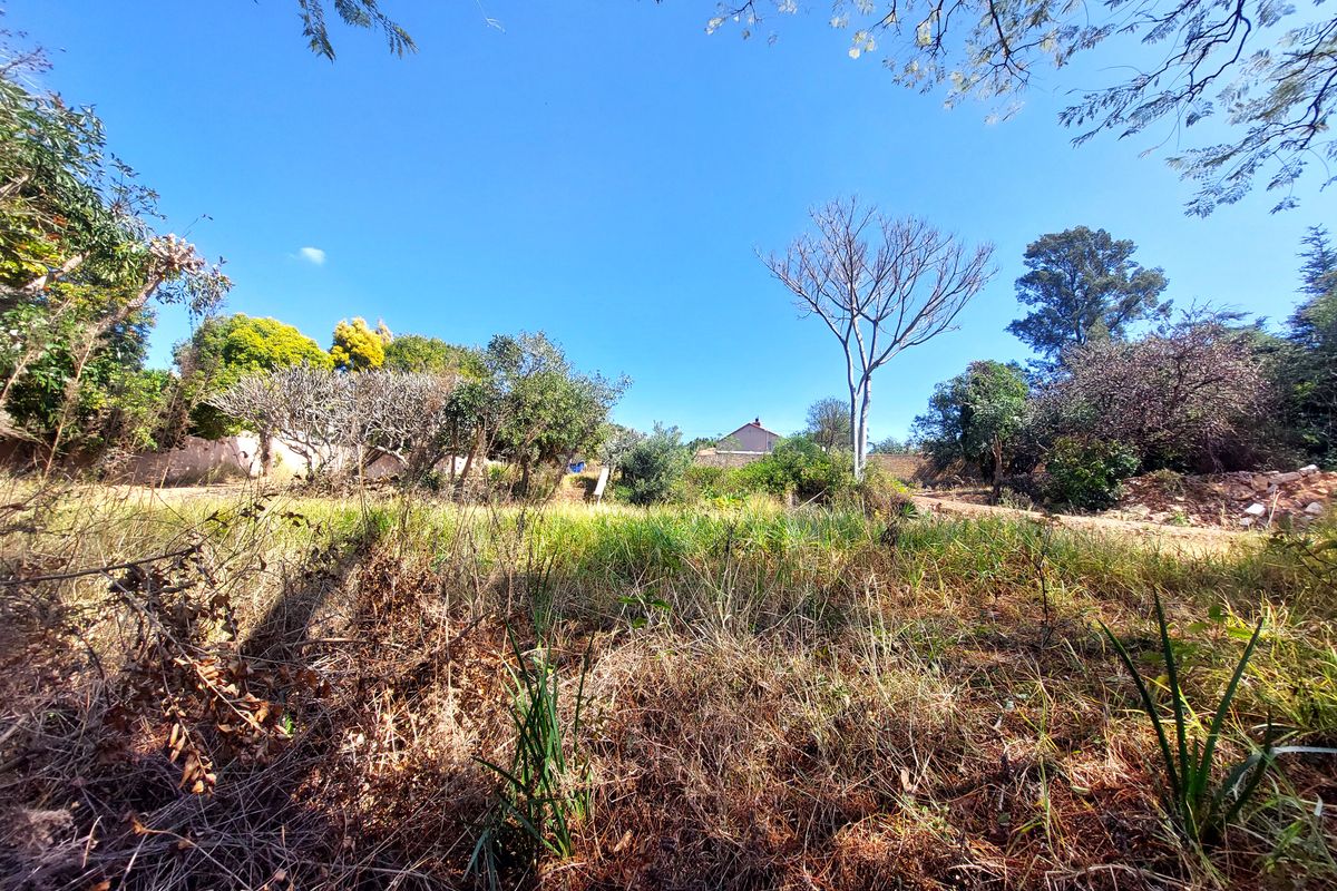 A view of a vacant residential plot featuring established trees and natural vegetation under a clear blue sky.