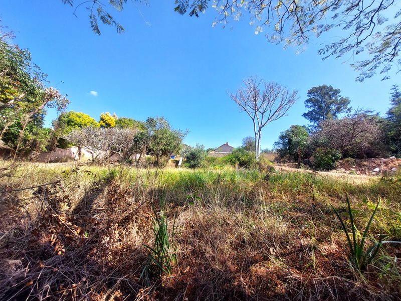 A view of a vacant residential plot featuring established trees and natural vegetation under a clear blue sky.