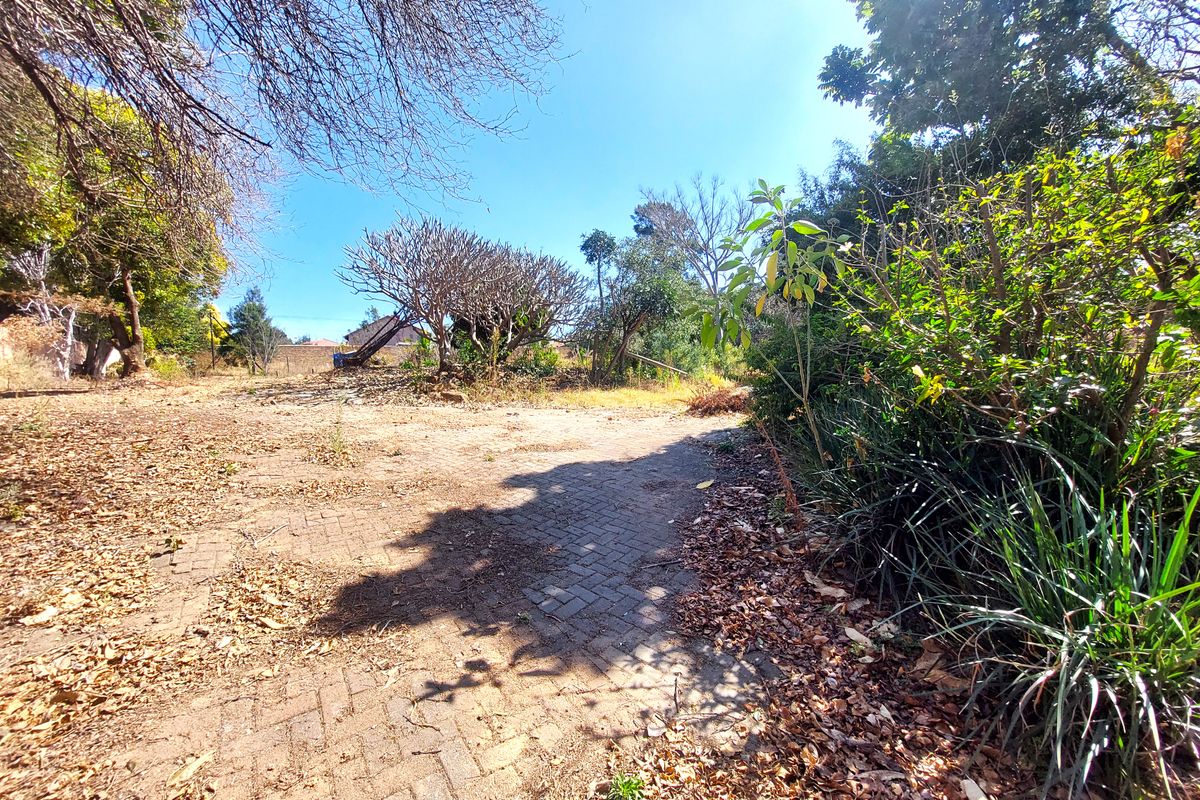 A view of a residential garden area featuring mature trees, established shrubs, and a paved driveway surface requiring maintenance.