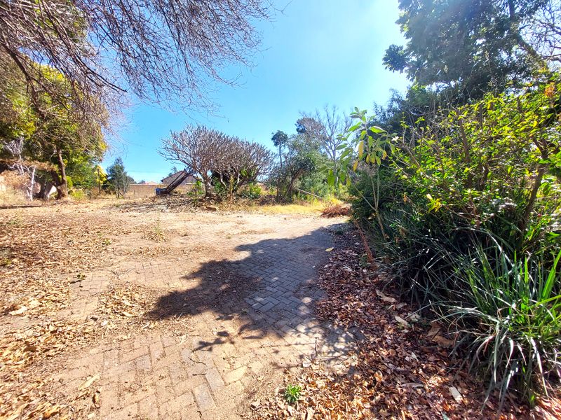 A view of a residential garden area featuring mature trees, established shrubs, and a paved driveway surface requiring maintenance.