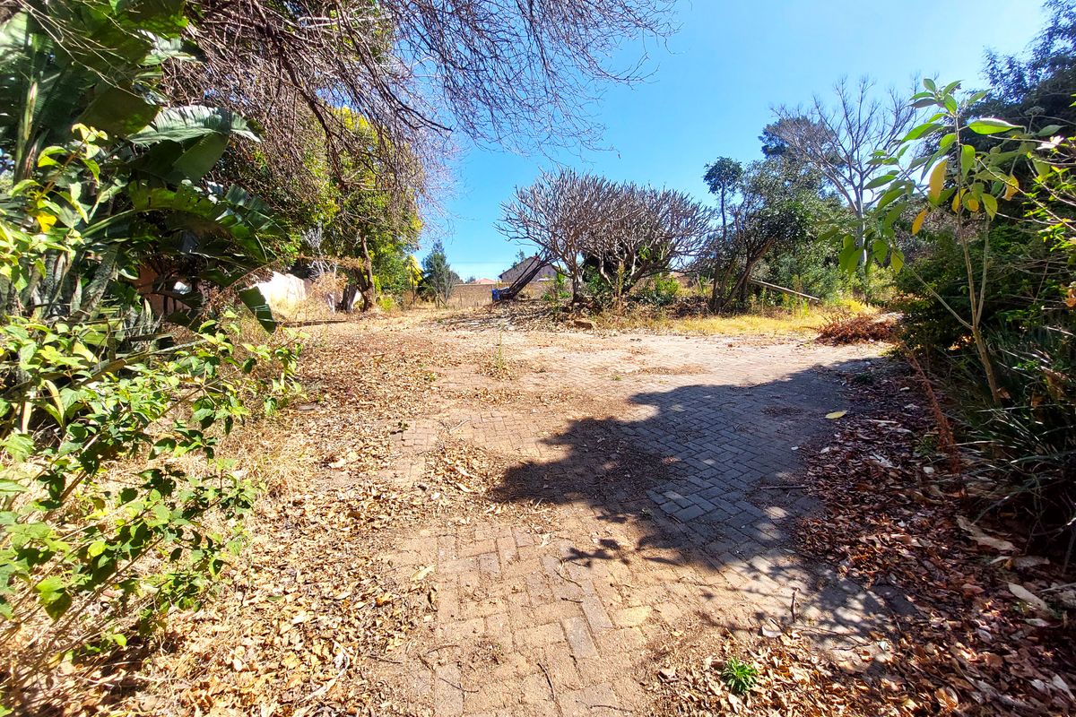 A view of a residential plot featuring a paved driveway area surrounded by mature trees and established garden vegetation.