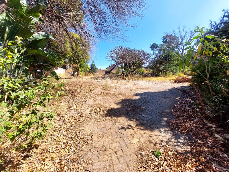 A view of a residential plot featuring a paved driveway area surrounded by mature trees and established garden vegetation.