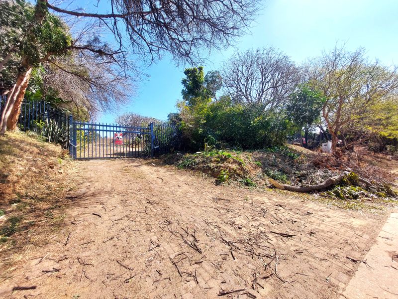 A view of the property entrance featuring a paved driveway and metal security gate, surrounded by mature trees and natural vegetation.