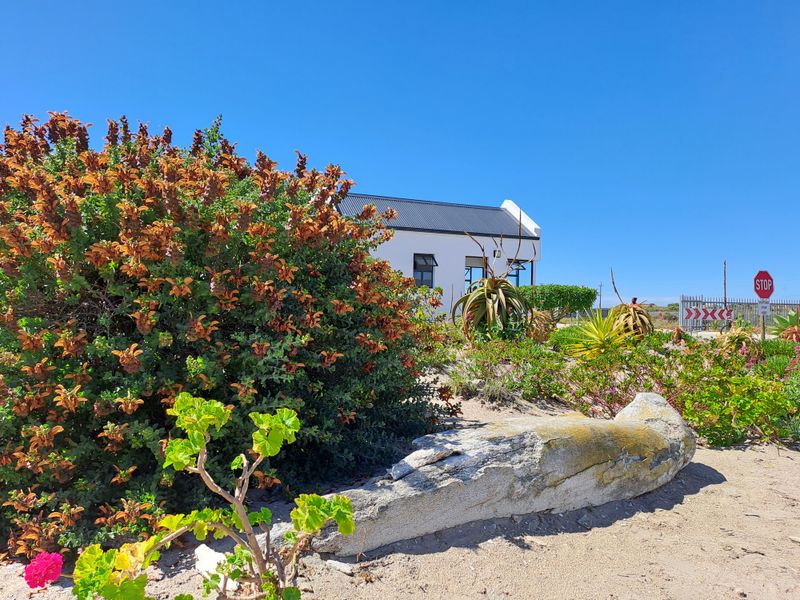 A view of the property exterior featuring a white facade, dark metal roof, and landscaped garden area with native plants.