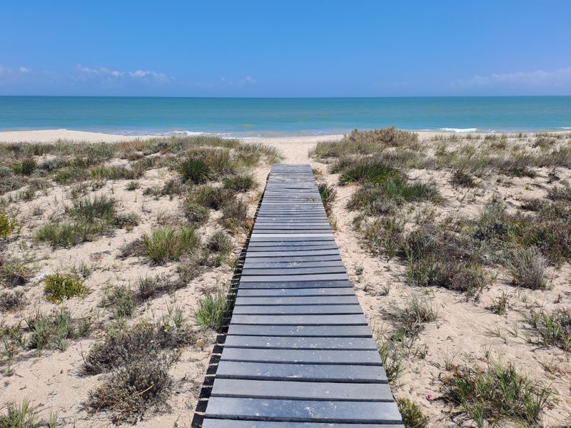 A scenic wooden boardwalk path leading directly through coastal dunes to the sandy beach and ocean.