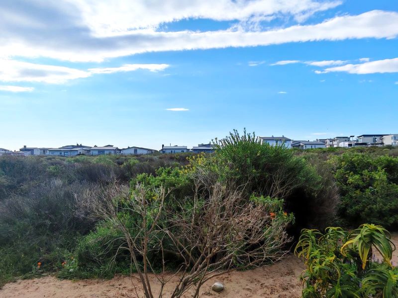 A scenic view of the surrounding neighbourhood landscape featuring natural coastal vegetation and distant residential properties under a clear blue sky.