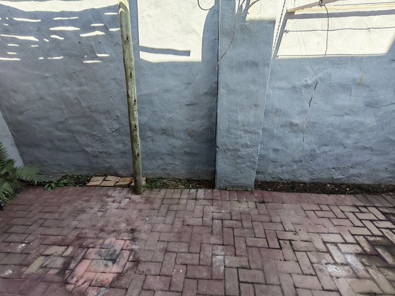 A small paved rear courtyard area featuring a boundary wall and a fixed washing line, requiring some maintenance and surface cleaning.