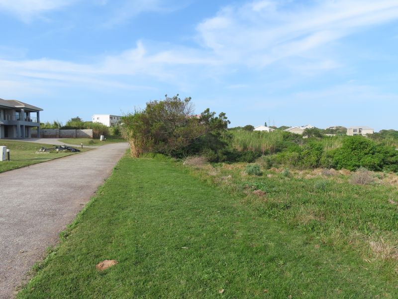 A view of a residential vacant land plot featuring a paved driveway access point and established natural vegetation.