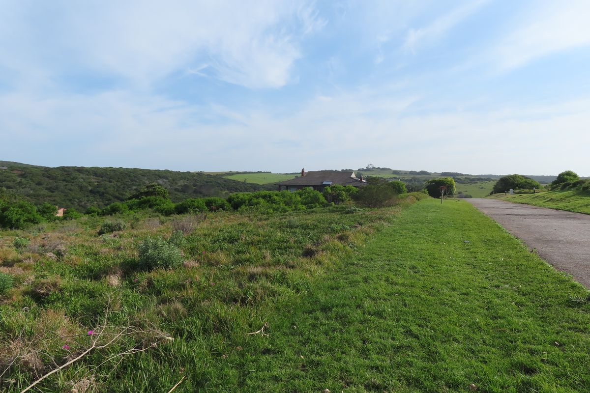 A scenic view of the vacant residential land featuring natural grassland, surrounding vegetation, and an adjacent paved road.