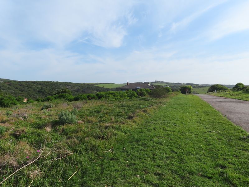 A scenic view of the vacant residential land featuring natural grassland, surrounding vegetation, and an adjacent paved road.