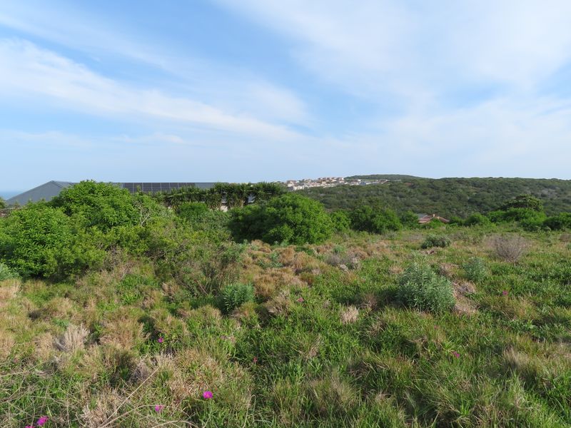 A scenic view of the natural landscape and surrounding vegetation, showcasing the open terrain of the vacant residential land.