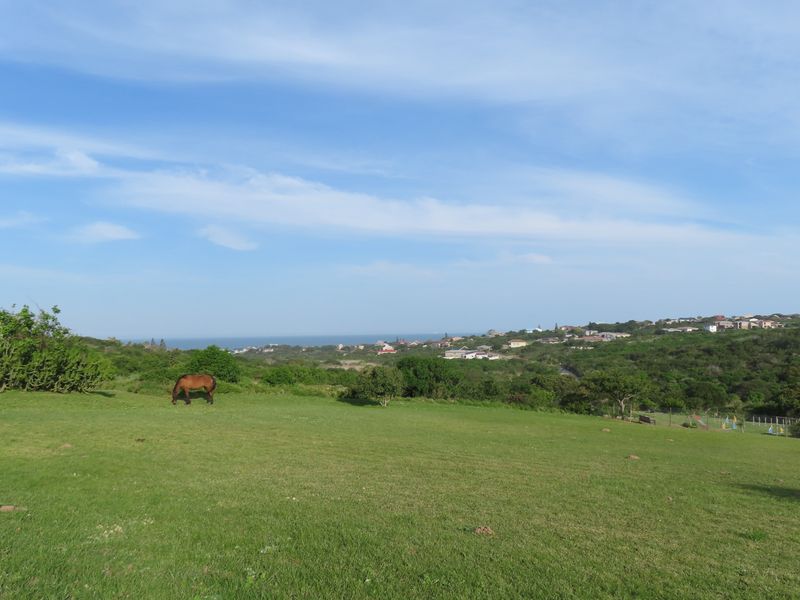 A scenic view of a grassy landscape with distant coastal residential development and ocean horizon.