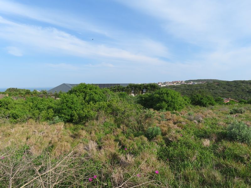 A scenic view of the natural landscape and surrounding coastal vegetation on this vacant residential property.