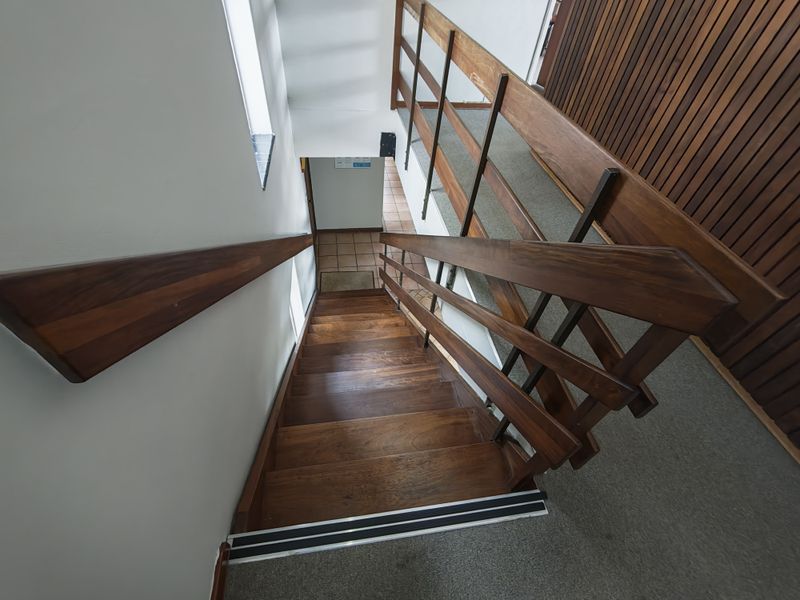 A well-maintained staircase featuring solid timber steps, a matching wooden handrail, and decorative timber wall paneling leading to a lower landing area.