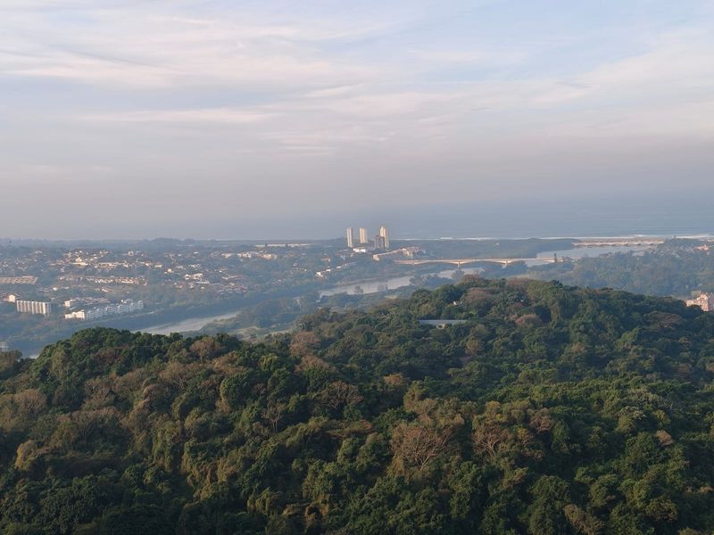 An elevated panoramic view overlooking a lush forested landscape, river, and distant coastal urban development.