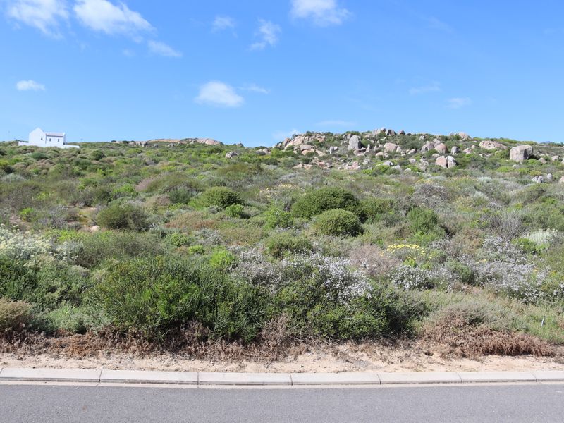 A view of a vacant residential plot featuring natural coastal vegetation, rocky outcrops, and direct access from a paved road.