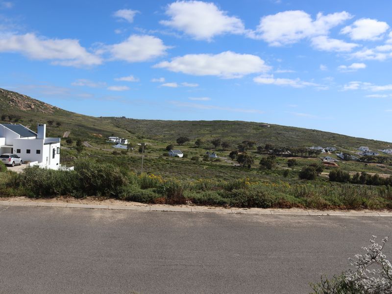 A scenic view of the surrounding landscape and residential area from the street level.