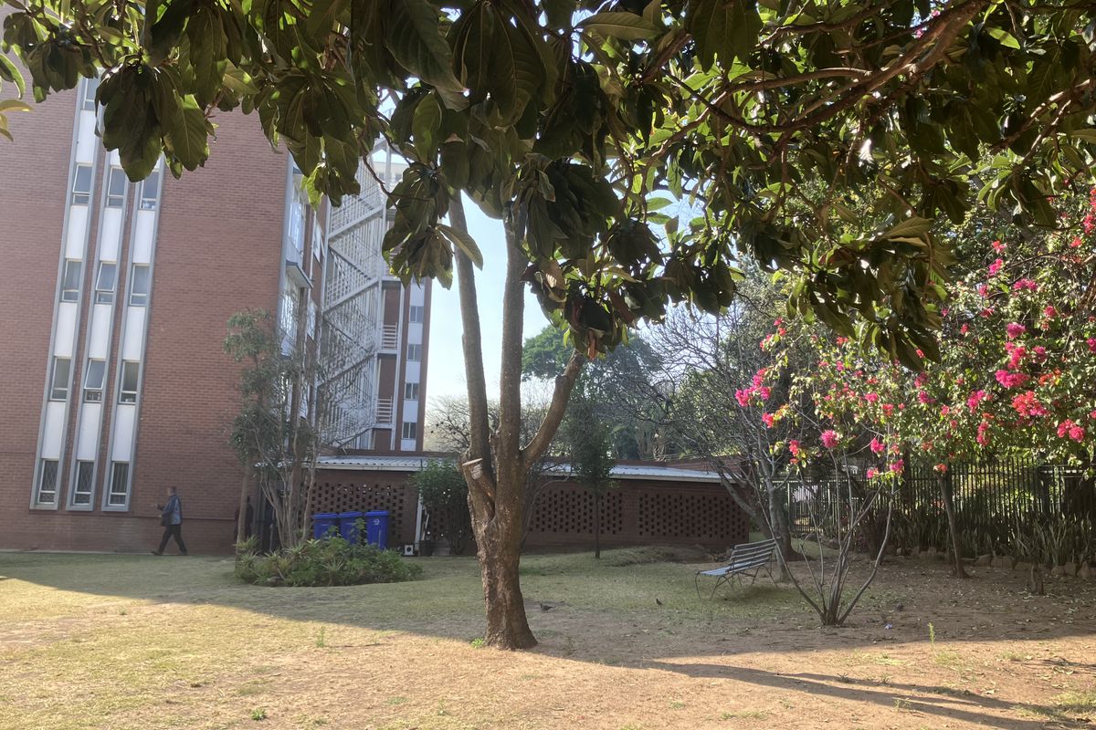 A view of the apartment building's rear exterior, featuring a brick facade and a shared garden area with mature trees and landscaping.