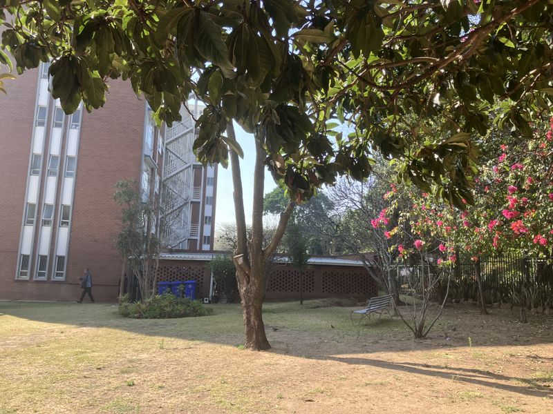 A view of the apartment building's rear exterior, featuring a brick facade and a shared garden area with mature trees and landscaping.