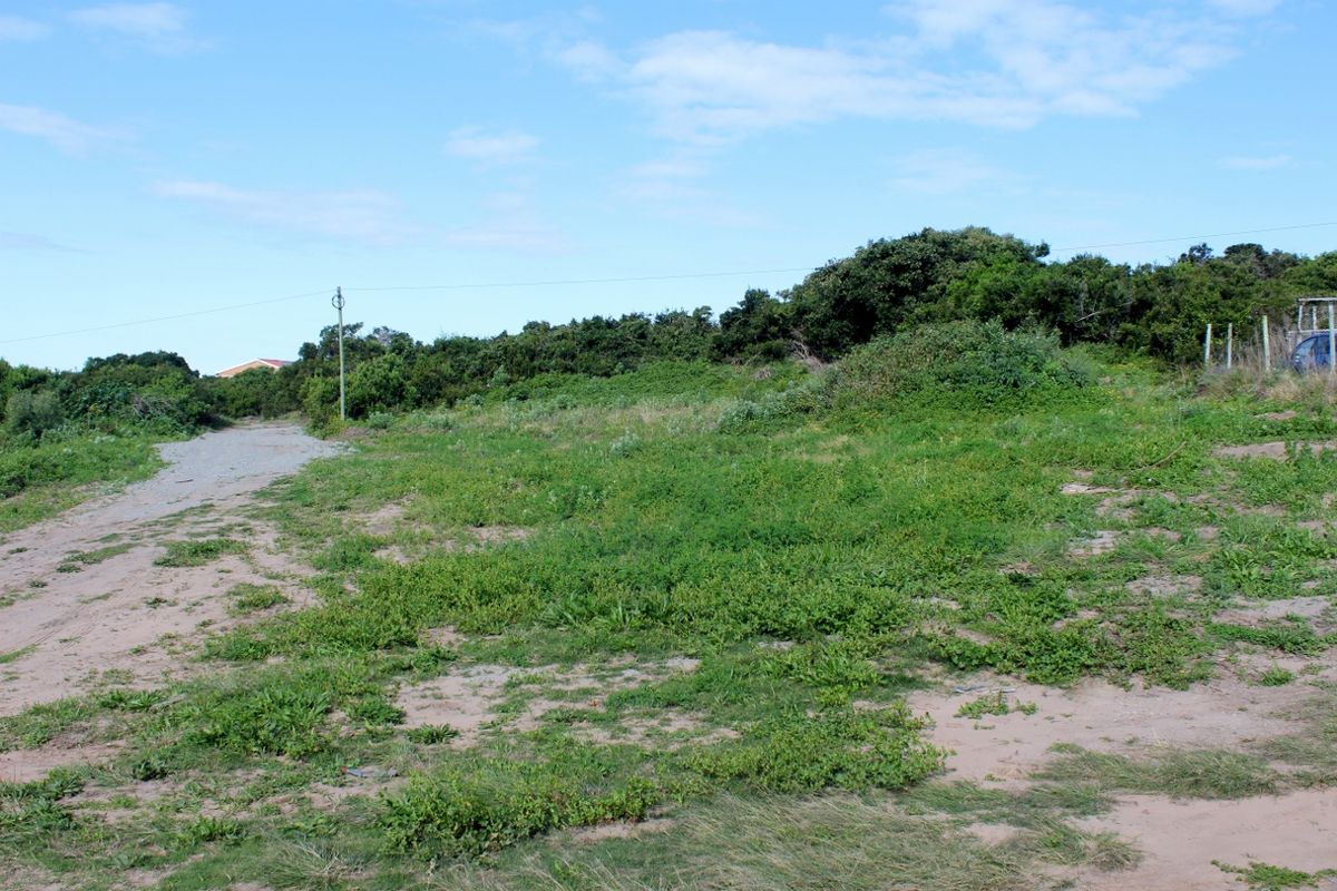 A vacant residential plot featuring natural vegetation, an unpaved access path, and an existing utility pole on the property boundary.