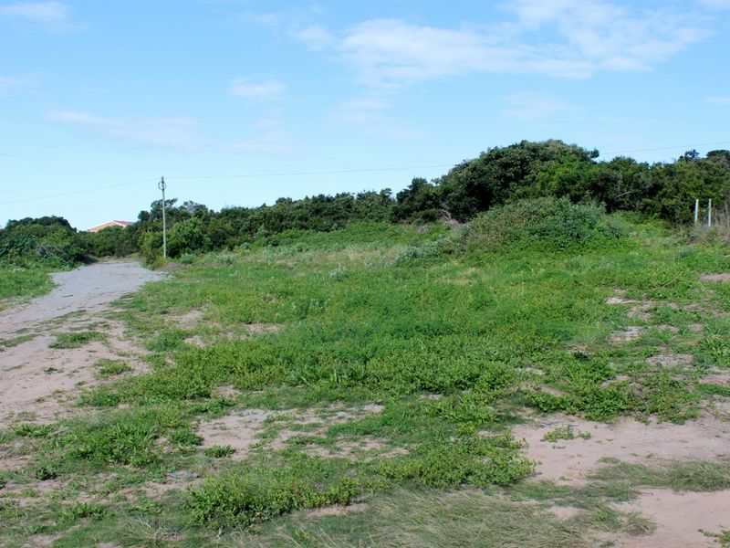 A vacant residential plot featuring natural vegetation, an unpaved access path, and an existing utility pole on the property boundary.