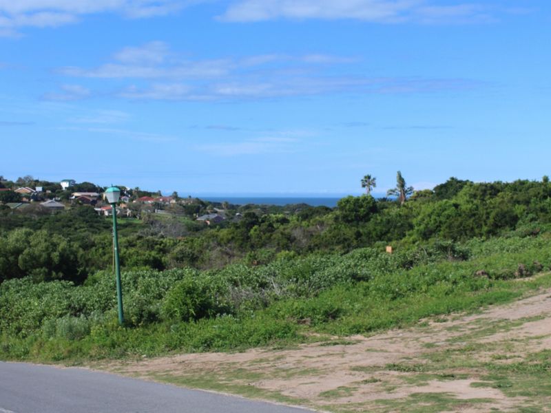 A scenic view overlooking natural coastal vegetation and distant residential housing with a clear horizon line.