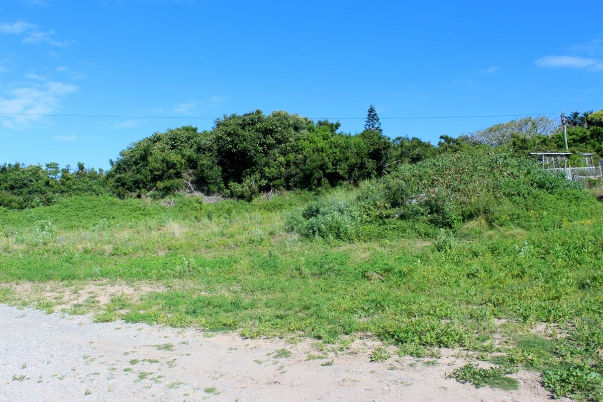 A view of a vacant residential plot featuring natural vegetation and an unpaved access area under a clear blue sky.