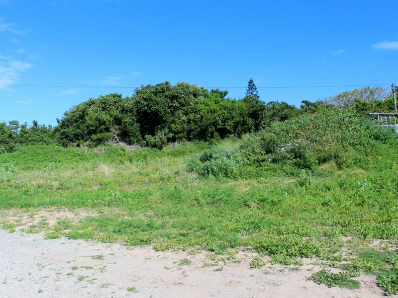 A view of a vacant residential plot featuring natural vegetation and an unpaved access area under a clear blue sky.