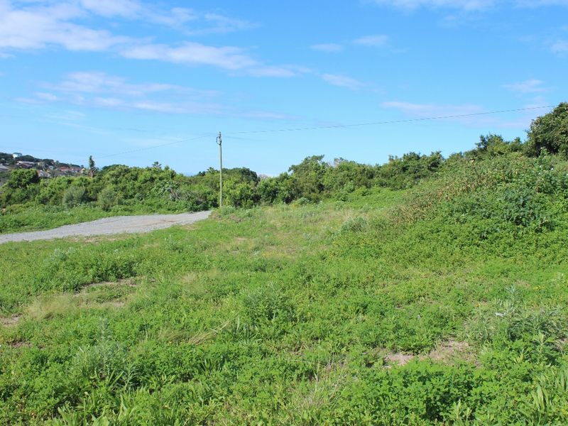 A vacant residential plot featuring natural vegetation, a gravel access path, and an existing utility pole on the property boundary.