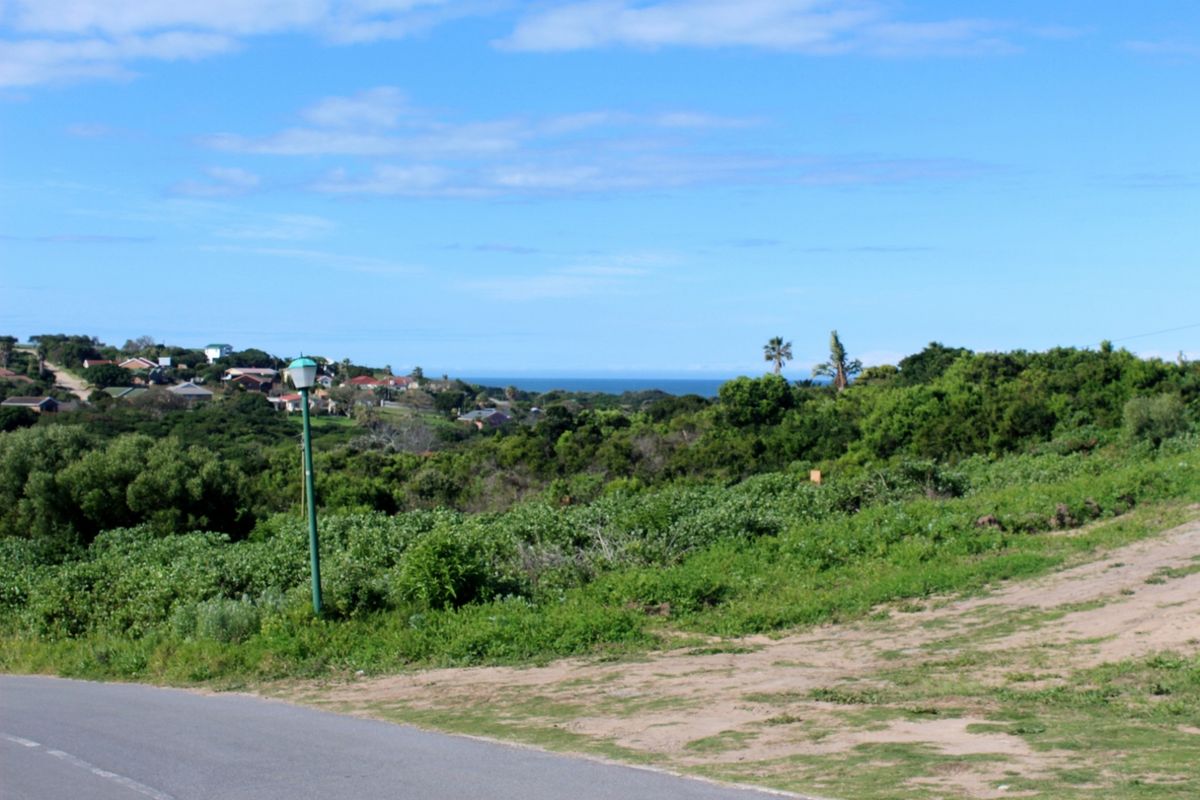 A scenic view overlooking coastal vegetation and distant residential homes, capturing the natural landscape and horizon.