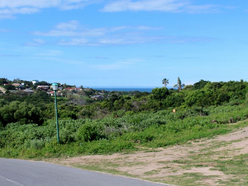 A scenic view overlooking coastal vegetation and distant residential homes, capturing the natural landscape and horizon.