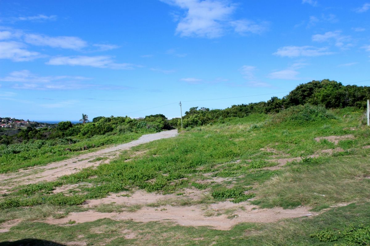 A view of a vacant residential plot featuring natural vegetation, an unpaved access path, and a utility pole.