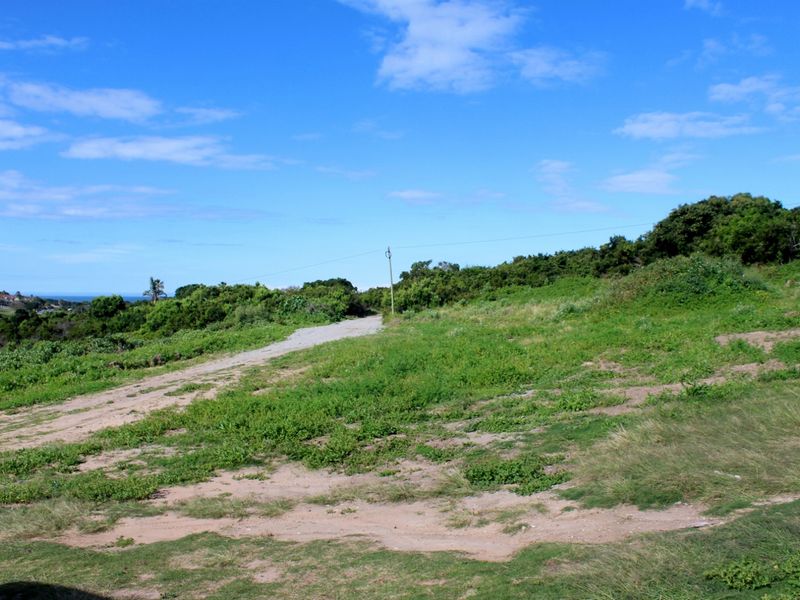 A view of a vacant residential plot featuring natural vegetation, an unpaved access path, and a utility pole.