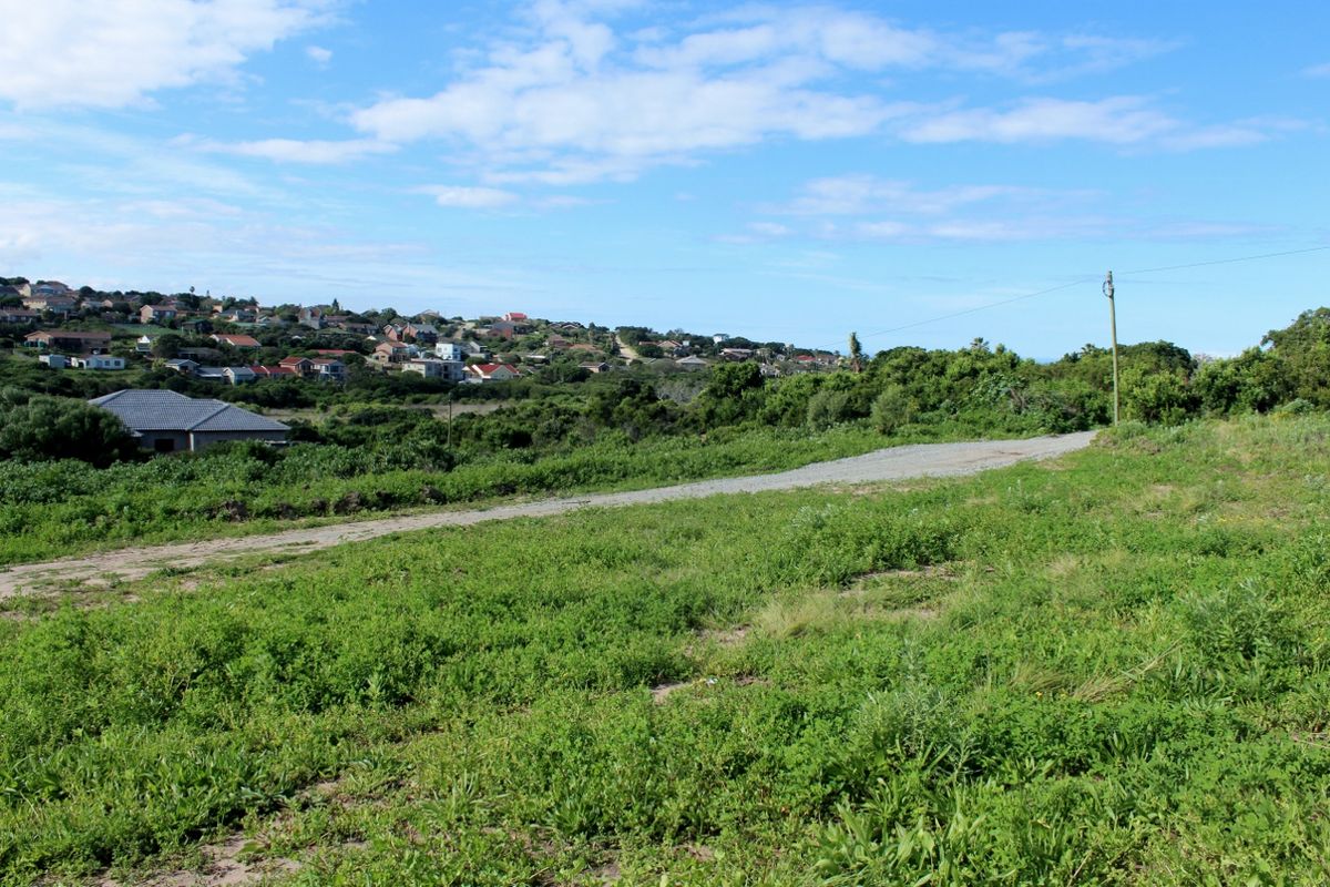 A view of the vacant residential land featuring a gravel access path and surrounding natural vegetation with a distant neighborhood backdrop.