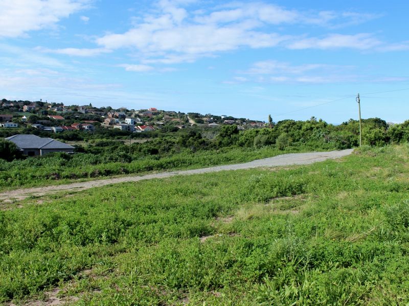 A view of the vacant residential land featuring a gravel access path and surrounding natural vegetation with a distant neighborhood backdrop.