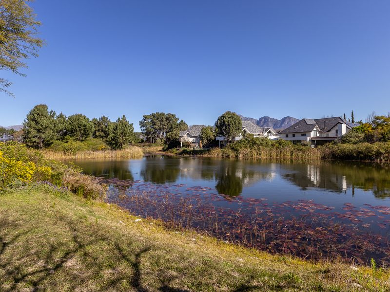 A scenic view of a tranquil lake surrounded by lush greenery and residential properties in the background under a clear blue sky.