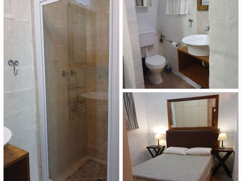 A bedroom suite featuring an integrated bathroom with a shower, toilet, and vessel sink, alongside built-in storage cupboards.