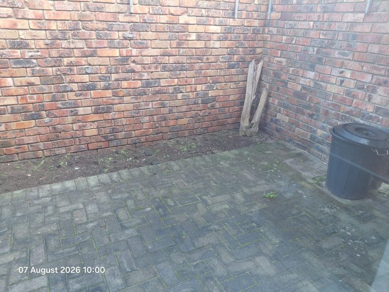 A small, paved rear courtyard area enclosed by brick boundary walls, requiring maintenance and landscaping to improve its overall appearance.