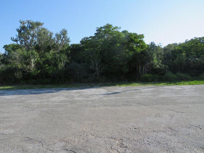 A view of a vacant residential lot featuring a large concrete driveway area bordered by mature trees and natural vegetation.