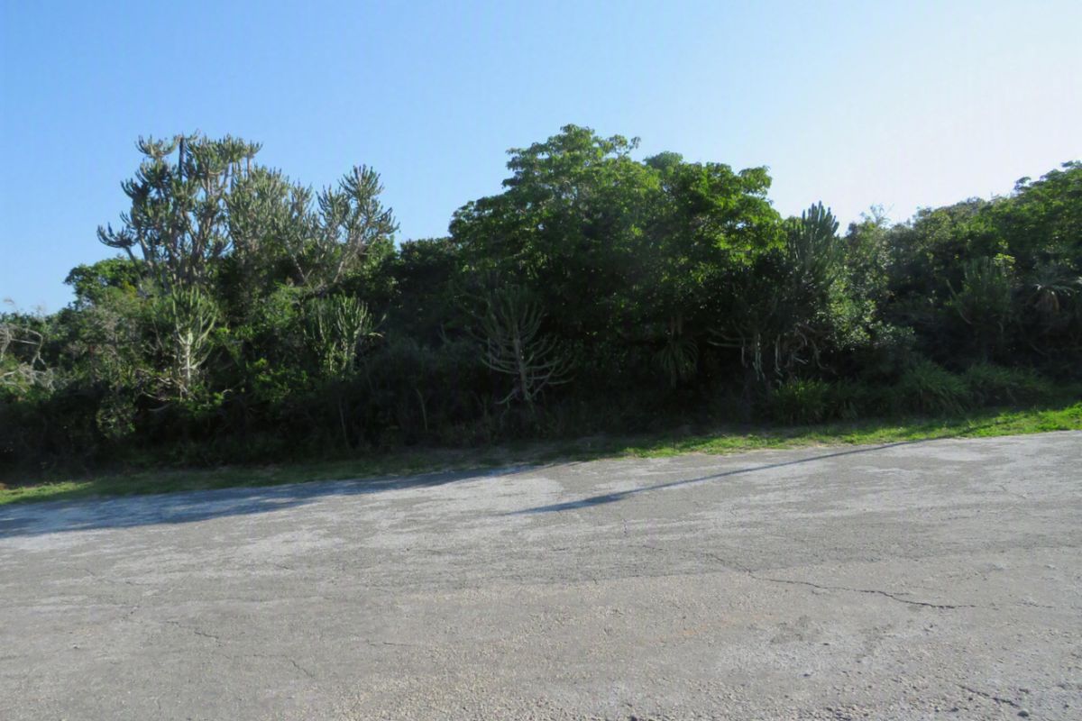 A view of a vacant residential plot featuring a paved area and established indigenous trees and vegetation.