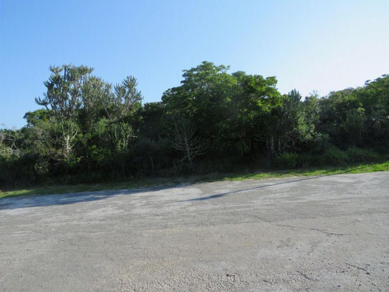 A view of a vacant residential plot featuring a paved area and established indigenous trees and vegetation.