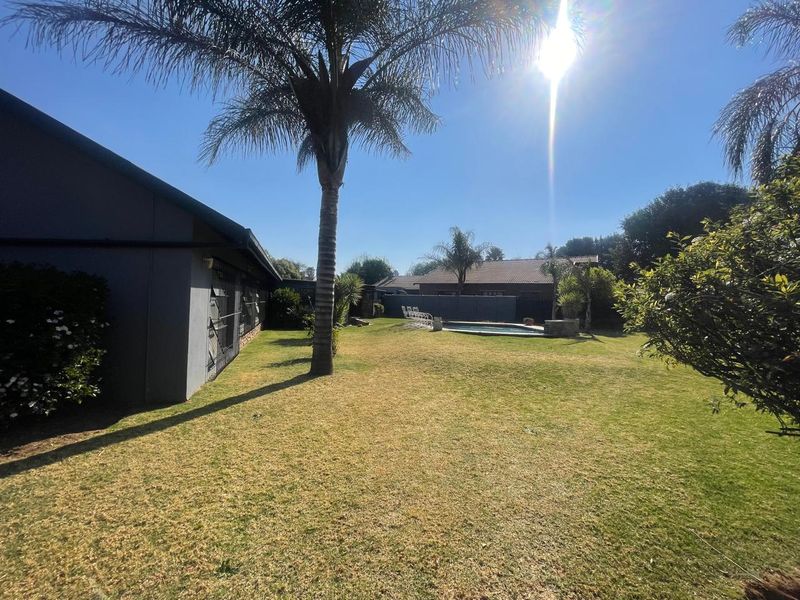 Spacious rear garden featuring a well-maintained lawn, mature palm tree, and a swimming pool area.
