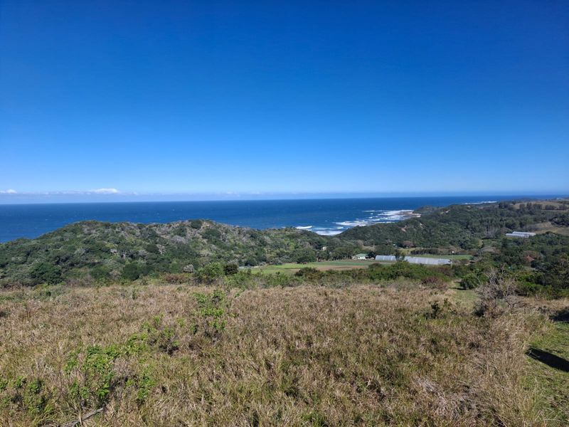 A scenic elevated view overlooking the coastal landscape, natural vegetation, and the ocean horizon.