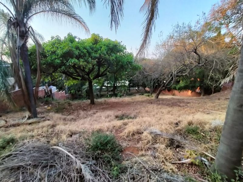 Introducing Your Blank Canvas in Kamdebo Road, Florauna - Photo 3