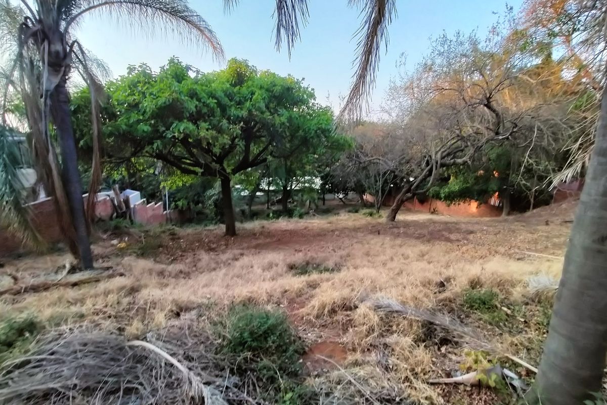 Introducing Your Blank Canvas in Kamdebo Road, Florauna - Photo 3