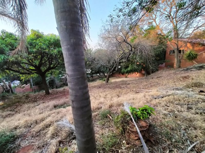 Introducing Your Blank Canvas in Kamdebo Road, Florauna - Photo 10